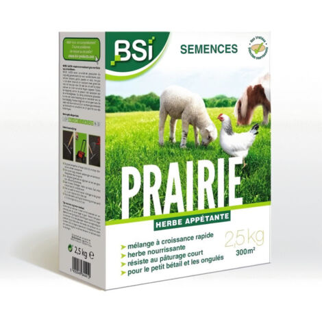 Semences BSI Prairie 2,5 kg - Couverture jusqu'à 375 m², mélange gazon & pâturage