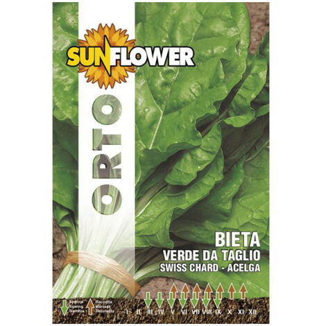 Sementi Bietola Costa Da Taglio Sunflower