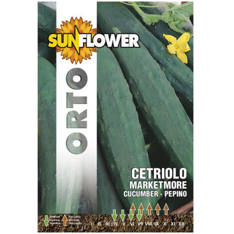 Sementi Cetriolo Marketmore Sunflower
