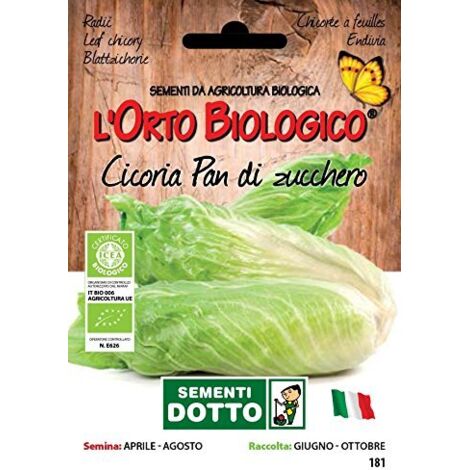 SEMENTI CICORIA PAN DI ZUCCHERO