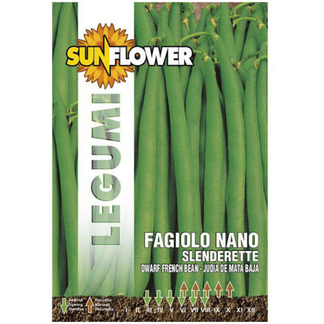 Semi Di Fagiolo Rampicante S. Anna Franchi Sementi - 100g Per Orto Domestico - Foto 6