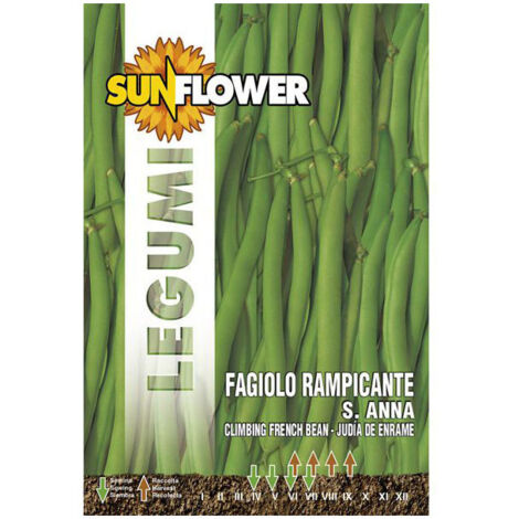 Sementi Fagiolo Rampicante Sant'Anna Sunflower