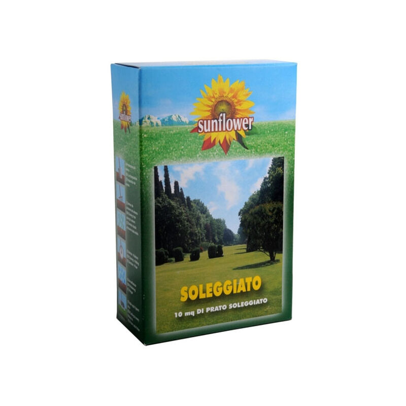 Sementi Prato Soleggiato Kg 0,25 Sunflower