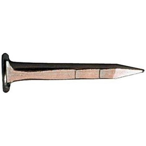 Semenze Acciaio 2 Leoni Tp Gambo Quadro Kg. 1 mm. 12
