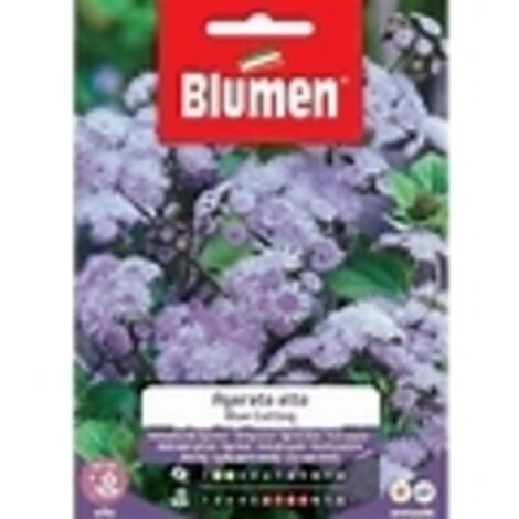 SEMI AGERATO ALTO BLUMEN