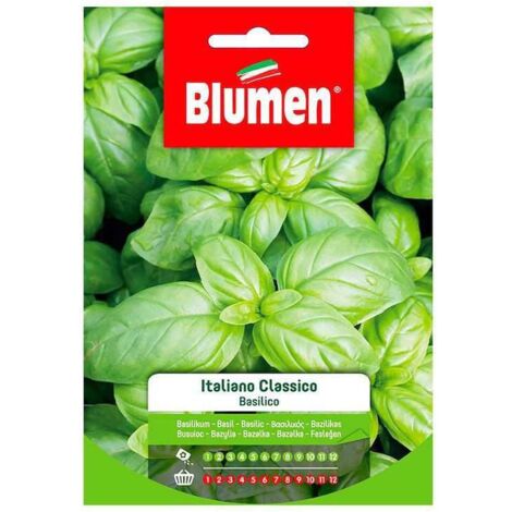 SEMI BASILICO ITALIANO CLASSICO GENOVESE BLUMEN SEMENTI ORTO