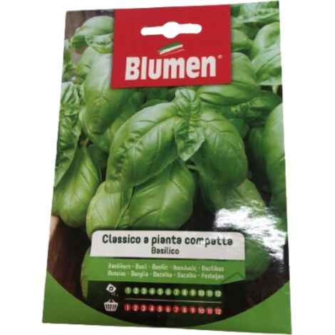 Semi basilico lilliput Blumen