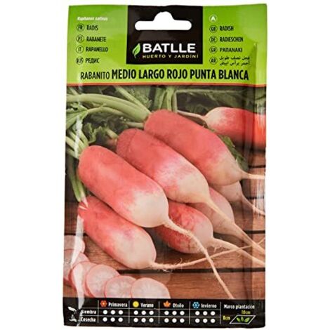 Semi Batlle – Rabanito