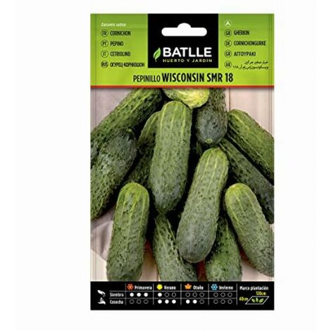 Semi Batlle  Cetriolo