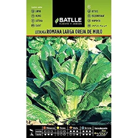 Semi Batlle  Insalata romana