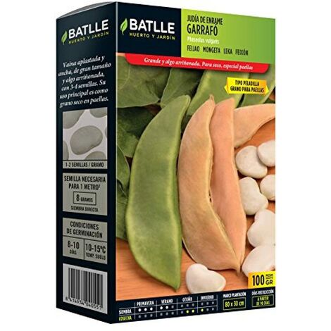 Semi Battle – Fagiolo enrame