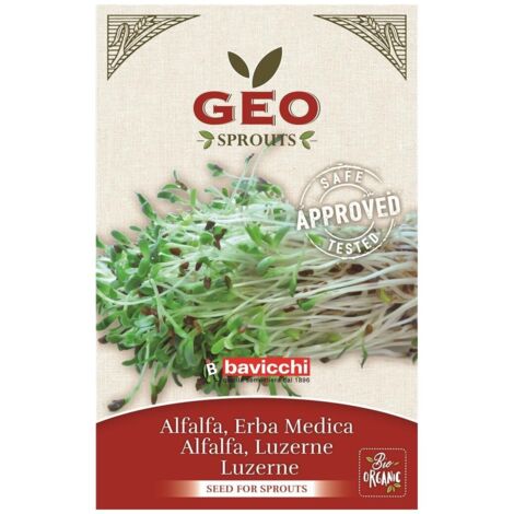 SEMI BIO DI ERBA MEDICA PER GERMOGLI 40GR SEMENZAIO SEMENTI SEEDS