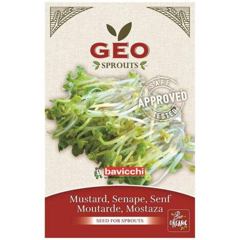 SEMI BIO DI SENAPE PER GERMOGLI 50GR SEMENZAIO SEMENTI SEEDS