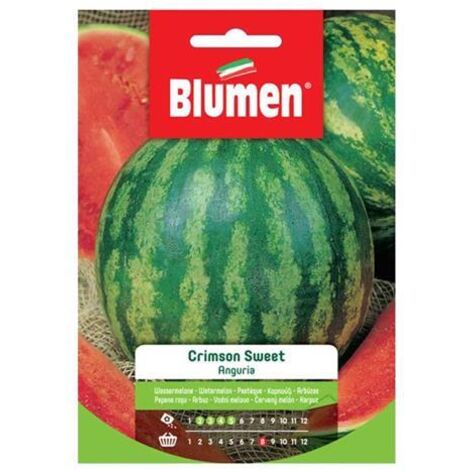 Semi Blumen anguria crimson sweet