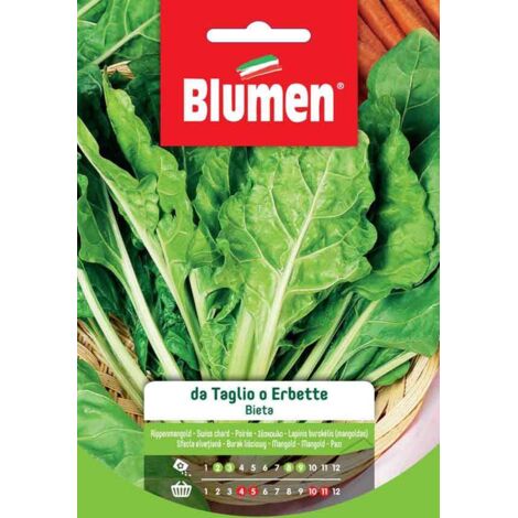 Semi Blumen bieta da taglio