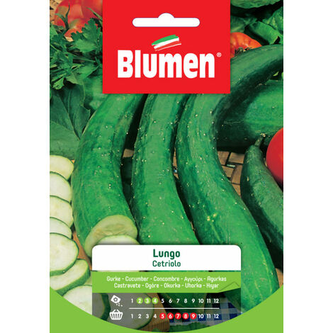 Semi Blumen cetriolo lungo
