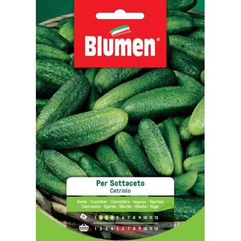 Semi Blumen cetriolo per sottaceto