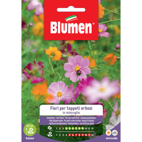 Semi Blumen fiori per tappeti erbosi