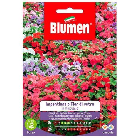 Semi Blumen impatiens