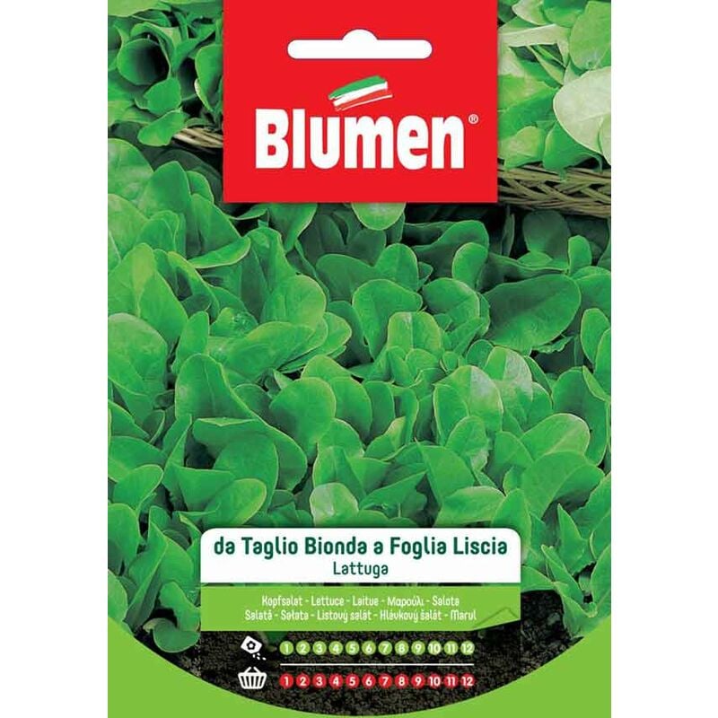 Blumen - Semi di Lattuga da Taglio Bionda a Foglia Liscia