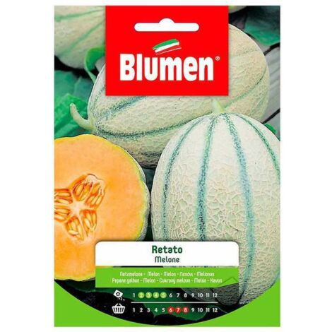 Semi Blumen melone retato