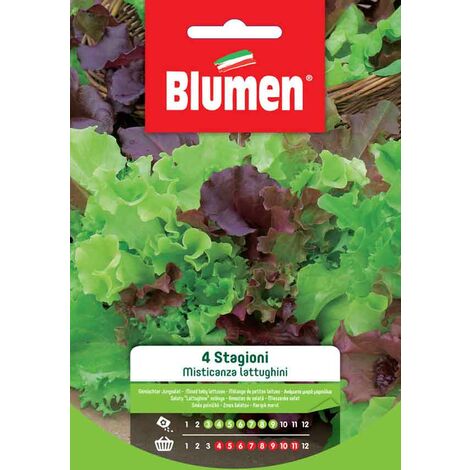 Semi Blumen misticanza lattughini