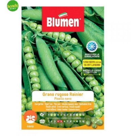 Semi Blumen piselli grano rugoso rainier