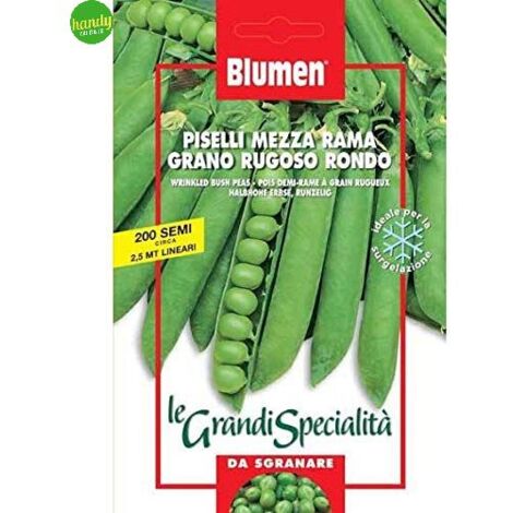 Semi Blumen pisello grano rugoso rondo
