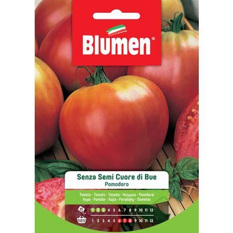 Semi Blumen pomodoro senza semi cuore bue