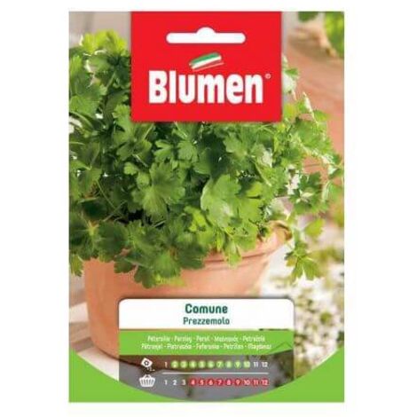 Semi Blumen prezzemolo comune
