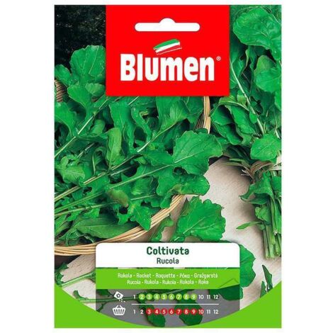 Semi Blumen rucola coltivata