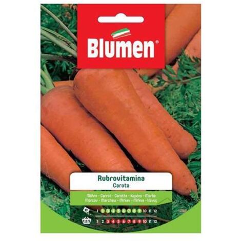 Semi Blumen semi carota rubrovitamina