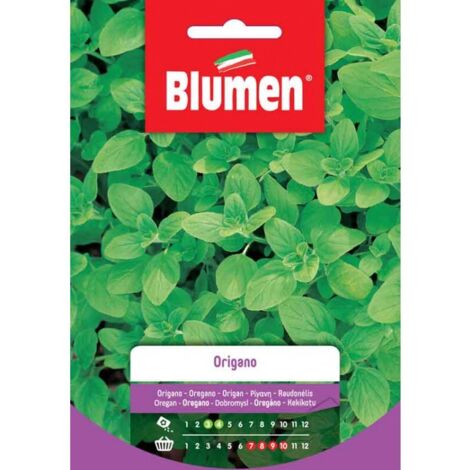 Semi Blumen semi origano