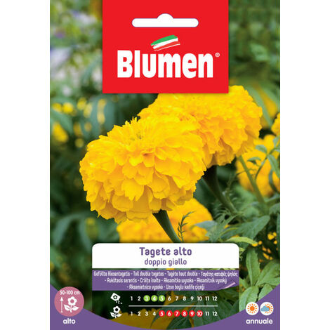 Semi Blumen tagete alto doppio giallo