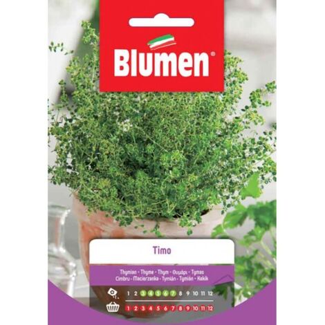 Semi Blumen timo