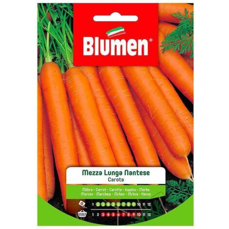 SEMI CAROTA MEZZA LUNGA NANTESE BLUMEN ORTO GIARDINO