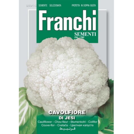 SEMI CAVOLFIORE DI JESI            30/15