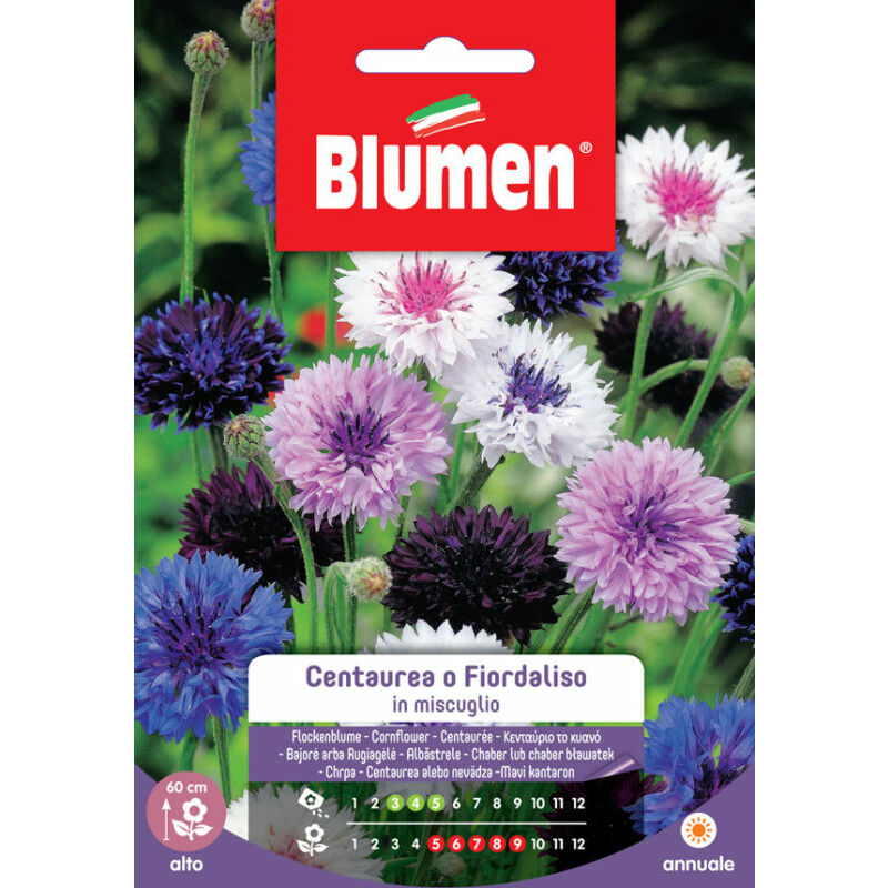 Blumen - graines centaurea bleuet mix