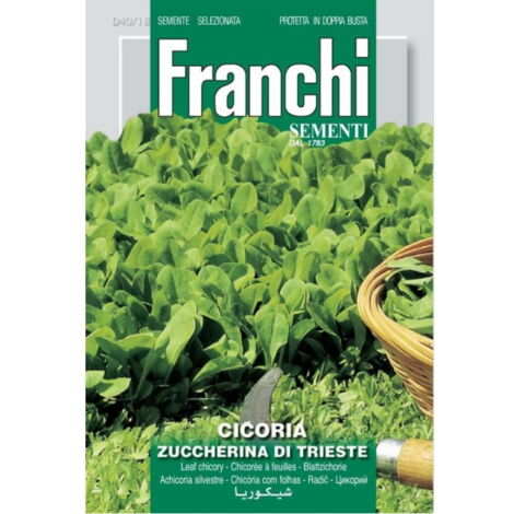 SEMI CICORIA ZUCCHERINA DI TRIESTE 40/18