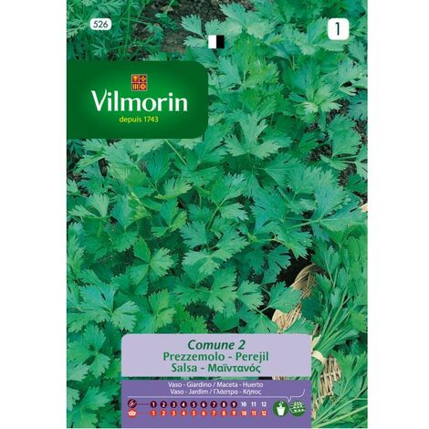 Semi comuni di prezzemolo Vilmorin - 14 gr