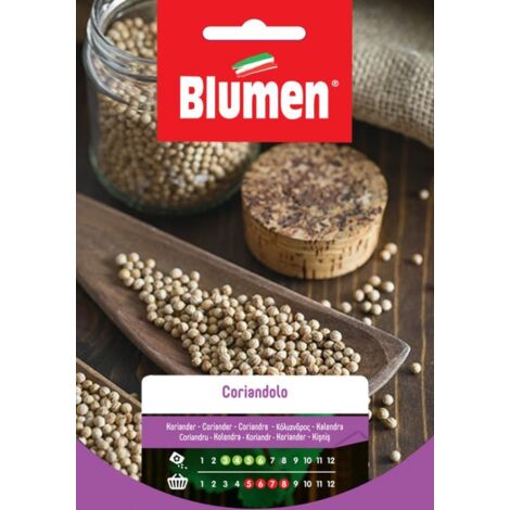 SEMI CORIANDOLO FOGLIE AROMATICHE BLUMEN