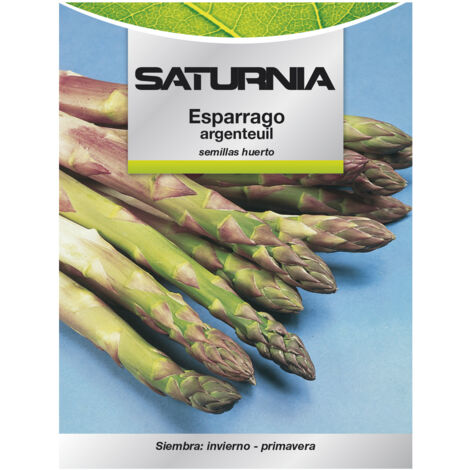 Semi di asparagi da giardino