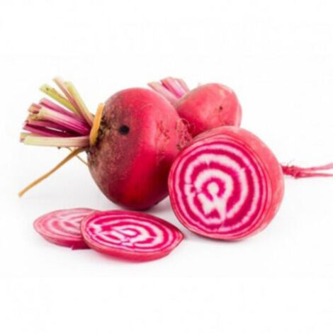 Semi di bietola "Tonda di Chioggia" piante per orto e giardino