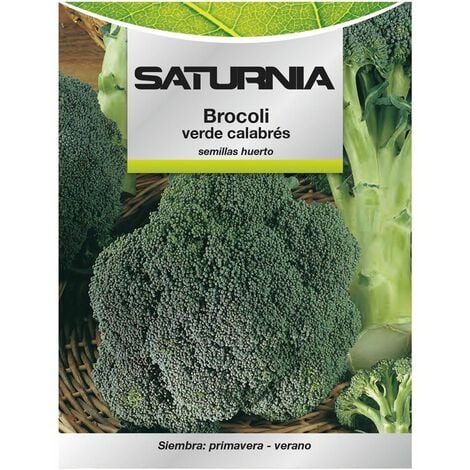 Semi di broccoli da giardino