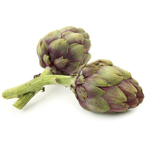Semi di carciofo "Di Romagna" piante per orto e giardino
