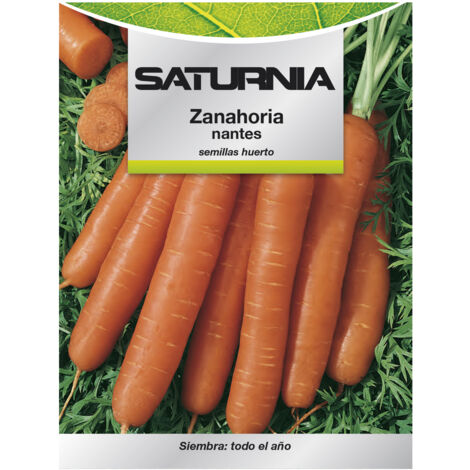 Semi di Carota Nantes Precoce (7 Grammi)