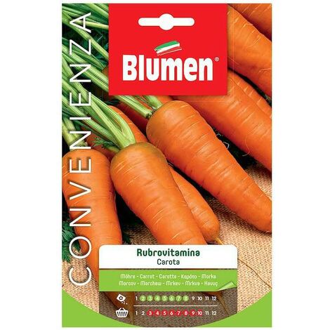SEMI DI CAROTA RUBROVITAMINA BLUMEN