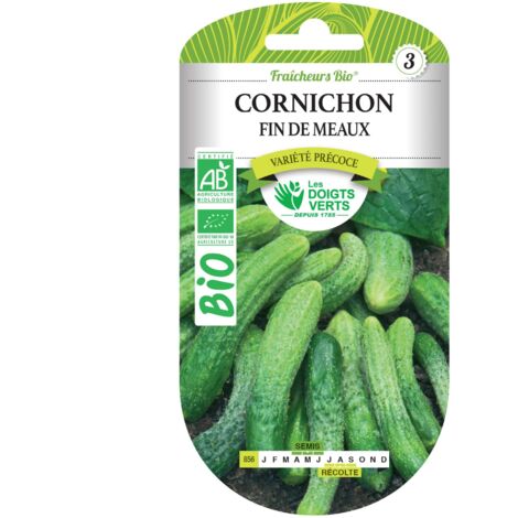Semi di cetriolo fine di Meaux BIO Le Dita Verdi