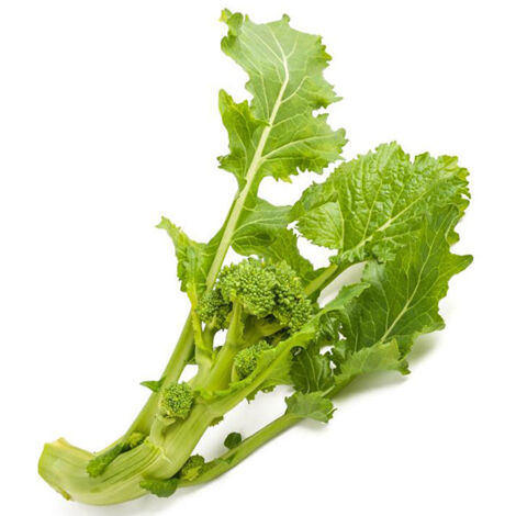 Semi di cima di Rapa "Cinquantina cima grossa" piante per orto e giardino