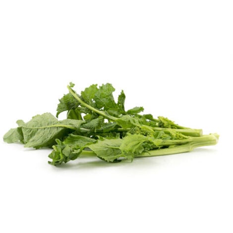 Semi di cima di Rapa "Di marzo cima grossa" piante per orto e giardino